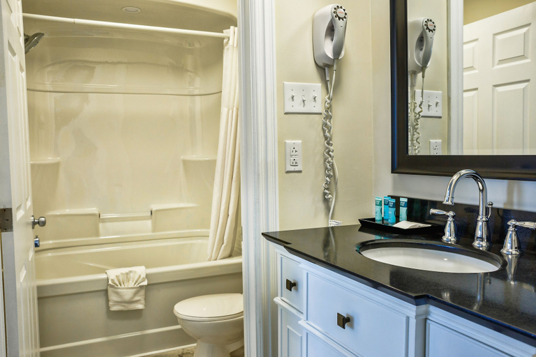 Bathroom 4, Royal Inn & Suites, Division No. 10