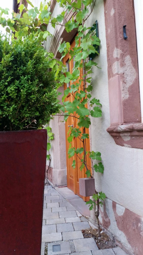 Exterior & Views 19