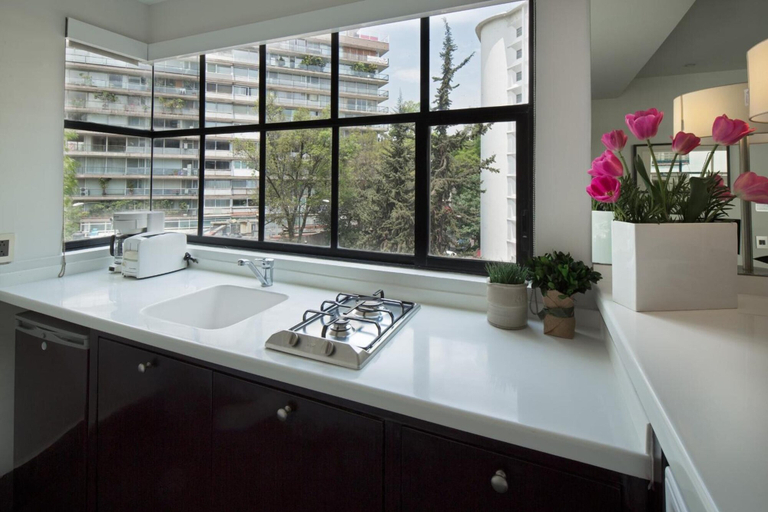 Others 5, FlowSuites Polanco, Mexico City