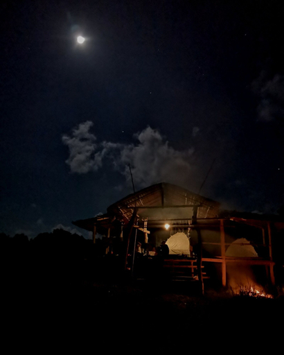 Others 5, Tambisan Island Lodge, Kinabatangan