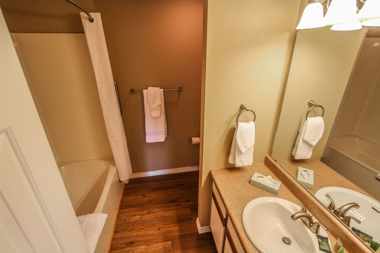 Bathroom 3, The Townhouses, Taney