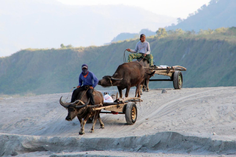 Others 4, Bognot Lodge Mt Pinatubo Guesthouse, Capas