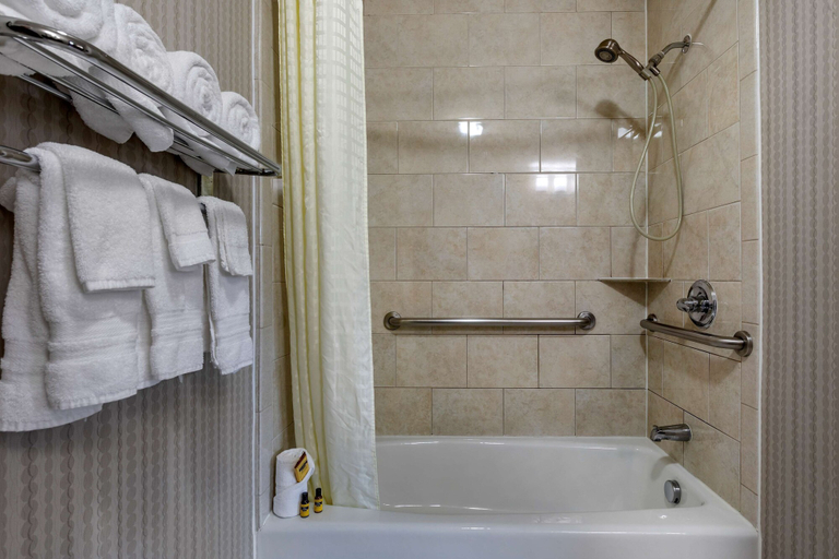Bathroom 4, Best Western Plus DFW Airport West Euless, Tarrant