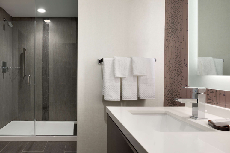 Bathroom 4, Embassy Suites by Hilton Charlotte Uptown , Mecklenburg