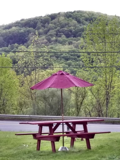 Others 5, Green Valley Motel, Bennington