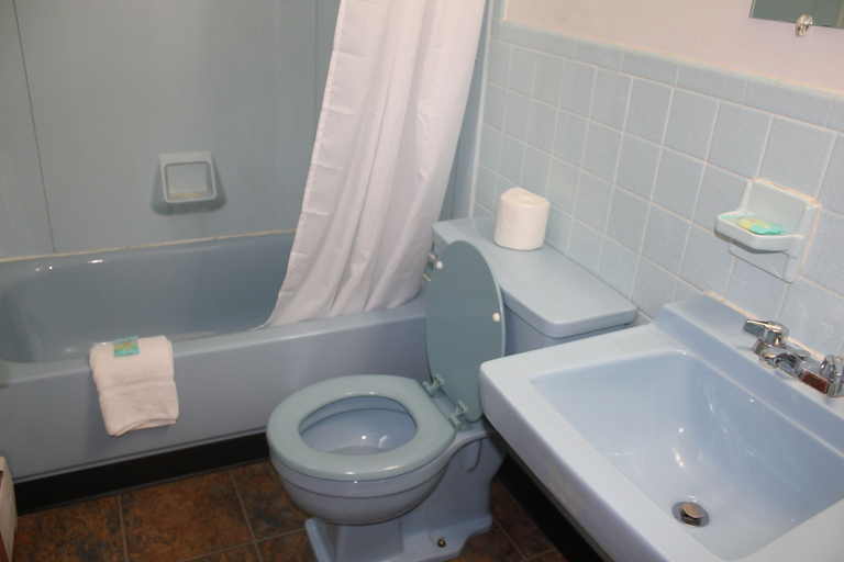 Bathroom 3, Green Valley Motel, Bennington