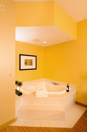 Bathroom 4, Courtyard by Marriott Frederick, Frederick