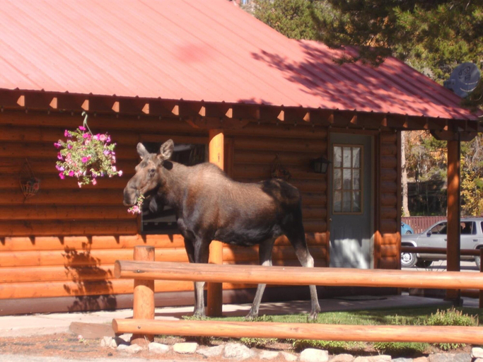 Others 5, Lone Eagle Lodge, Grand