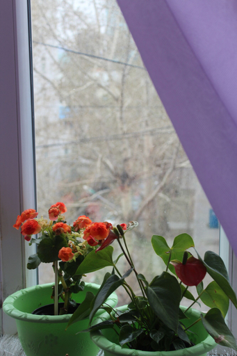 Others 5, Sara's Guest House, Ulan Bator
