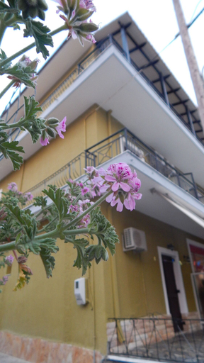 Exterior & Views 2, Petania Hotel & Apartments, Ionian Islands
