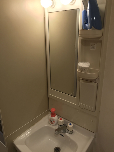 Bathroom 3, Terry's Apartment Namba South I V04A, Osaka