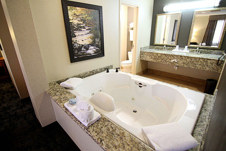 Bathroom 5, C'mon Inn Hotel & Suites, Grand Forks
