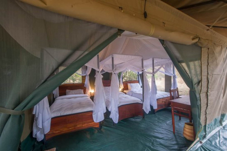 Bedroom 3, Acacia Migration Camp Kogatende, Serengeti