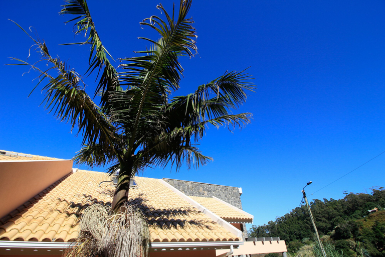 Exterior & Views 2, Paradise Ocean View by Analodges, Porto Moniz