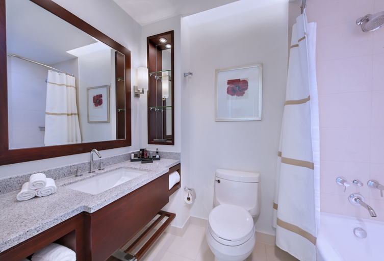 Bathroom 5, Guyana Marriott Hotel Georgetown, City of Georgetown