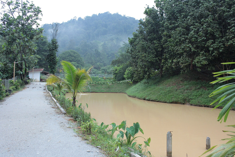 Others 4, Tokwan's Agro Village, Hulu Langat