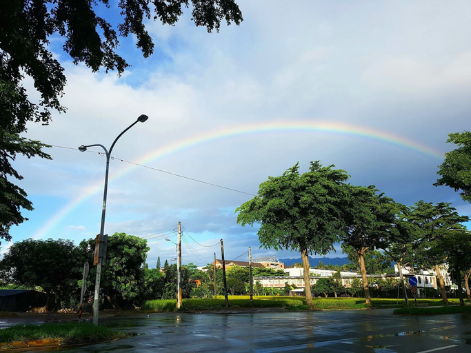 Others 5, Dog House, Taitung