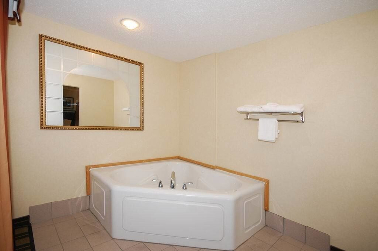 Bathroom 4, Comfort Suites South Haven near I-96, Van Buren