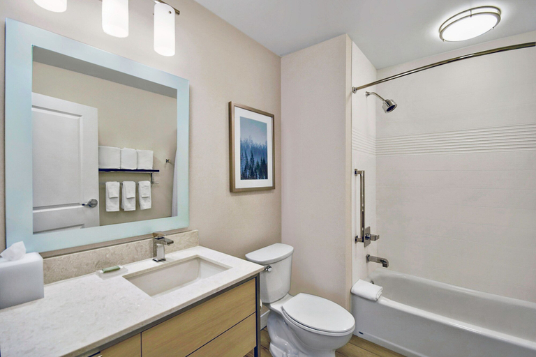Bathroom 4, TownePlace Suites by Marriott Asheville West, Buncombe