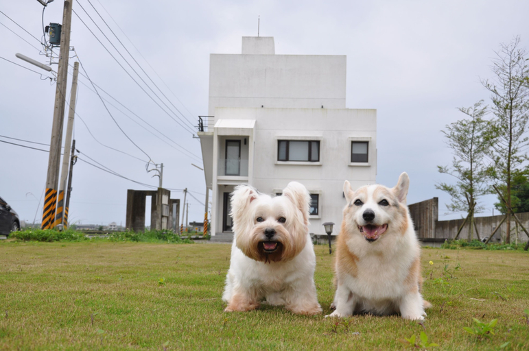 Others 5, Yutian House, Yilan