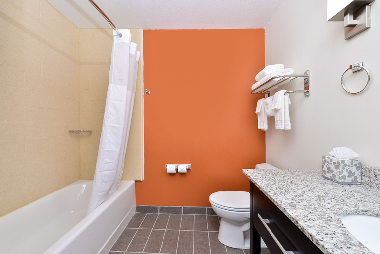 Bathroom 4, Sleep Inn & Suites and Conference Center Downtown, Indianapolis