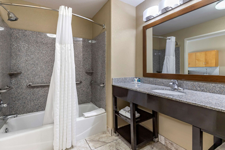Bathroom 4, Comfort Suites Georgetown, Williamson