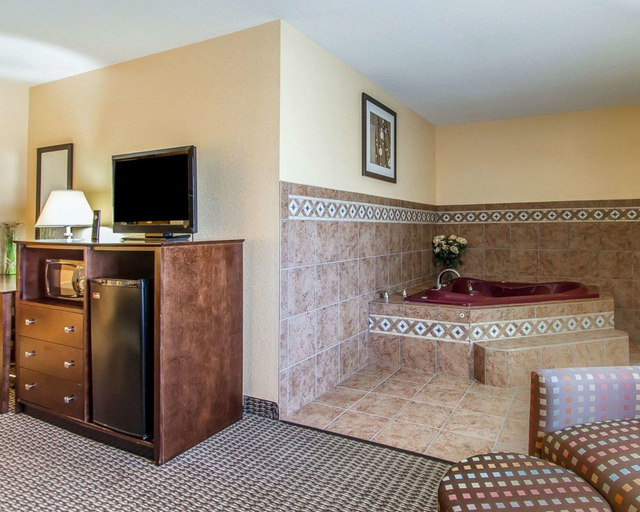 Others 5, Quality Inn & Suites Mount Pleasant, Henry