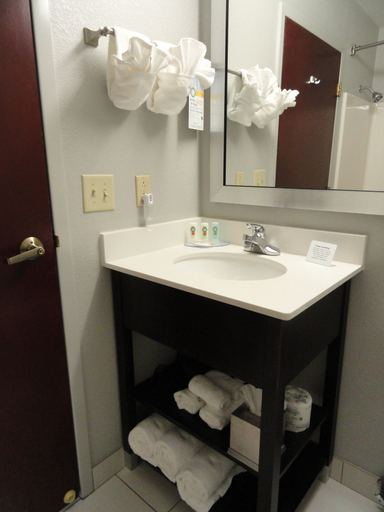 Bathroom 4, Quality Suites Pineville - Charlotte, Mecklenburg