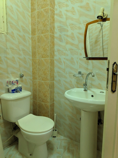 Bathroom 3, Elphardous Hotel, Luxor