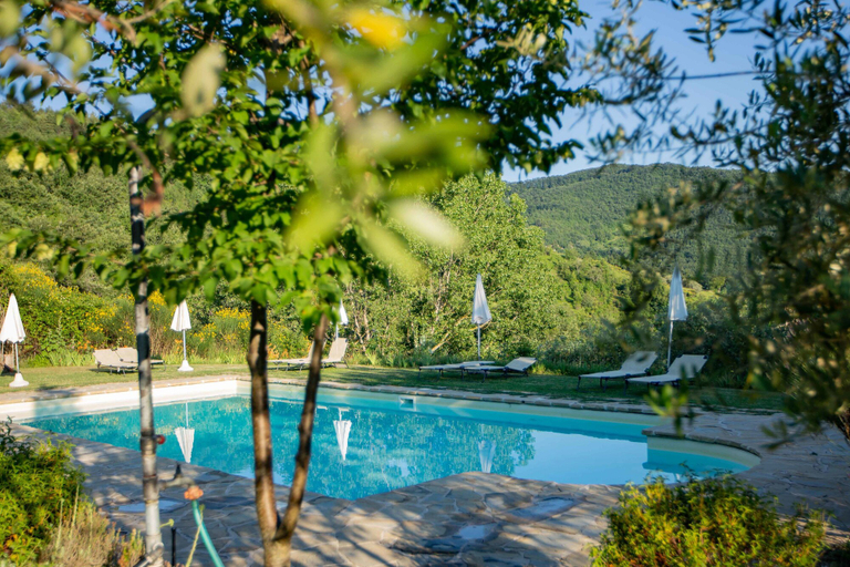 Sport & Beauty 5, Casa Rosa, Perugia