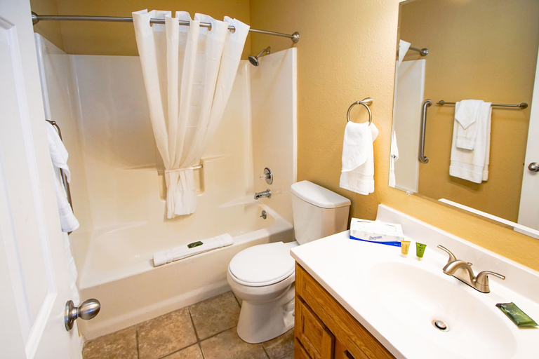 Bathroom 3, The Townhouses, Taney