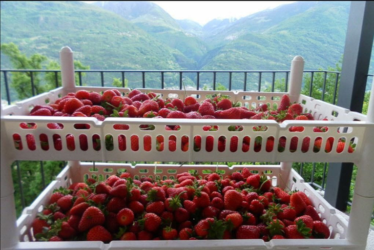 Food & Drinks 5, Agriturismo da Ysy, Sondrio