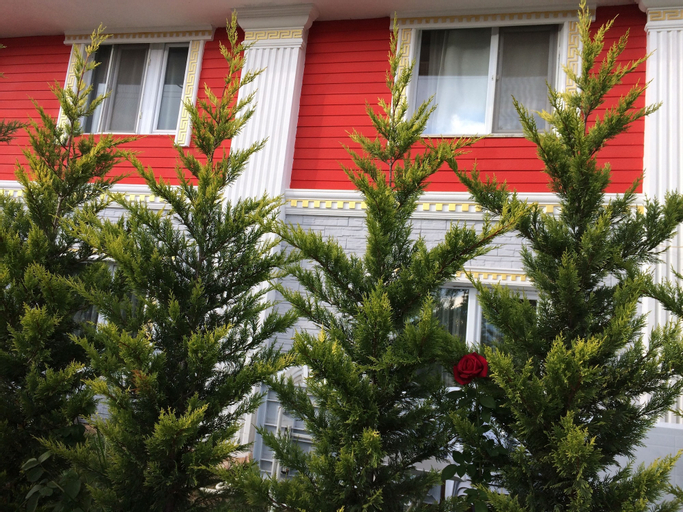 Exterior & Views 4, Bolu Otel, Merkez