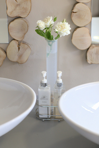 Bathroom 4, Die Olyfhuis, Frances Baard