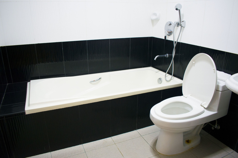 Bathroom 3, Royal Mansion Hotel, Tabaco City