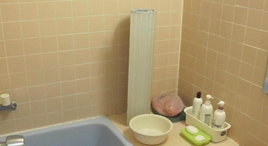 Bathroom 3, Narusawa Lodge, Nikkō