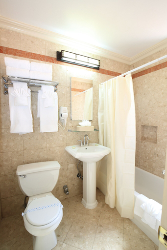 Bathroom 4, Radio City Apartments, New York