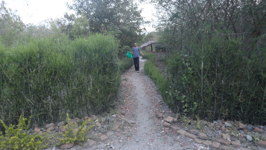 Others 5, The Elephant home, Busongora
