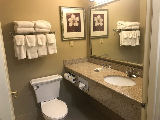 Bedroom 5, Country Inn & Suites by Radisson, Wilmington, NC, New Hanover