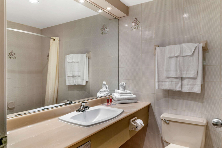 Bathroom 4, Econo Lodge Hotel Brossard, Champlain