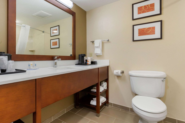 Bathroom 4, Comfort Inn & Suites Cordele, Crisp