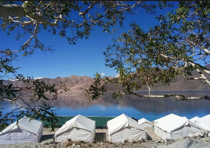 Pangong Heritage Camp, Leh (Ladakh)