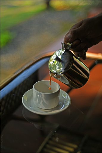 Food & Drinks 5, Dew Drops Farm Resorts, Idukki