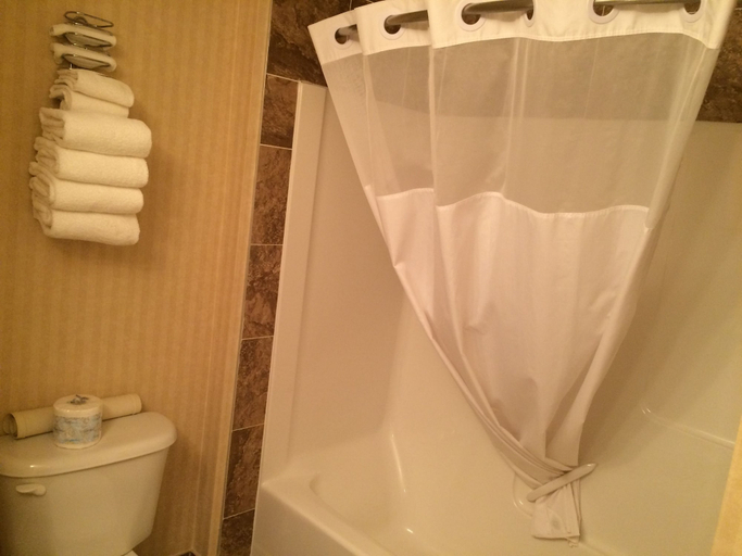 Bathroom 4, Comfort Inn & Suites Edson - Yellowhead Highway, Division No. 14