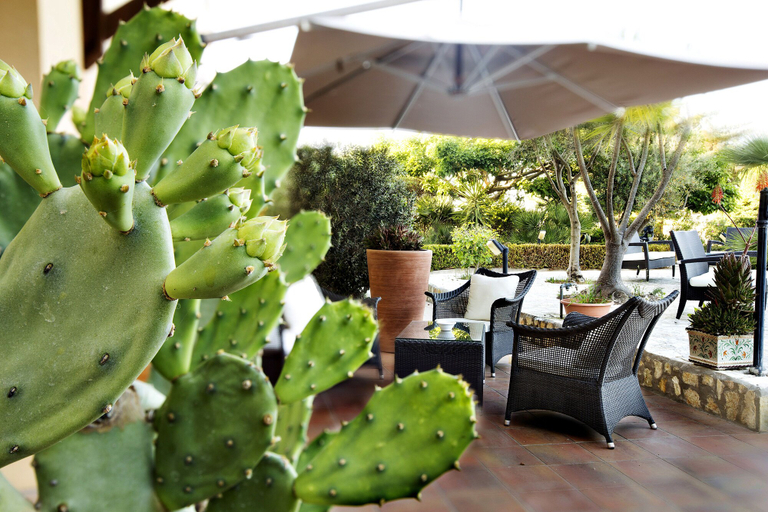 Food & Drinks 5, FAVIGNANA HOTEL Concept Holiday, Trapani