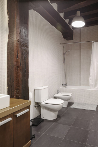 Bathroom 5, Casco Viejo Comodidad y Elegancia by Urban Hosts, Vizcaya