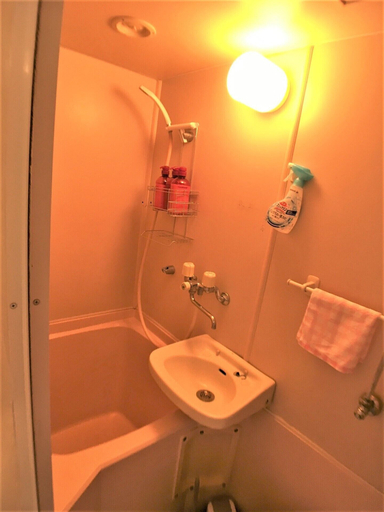 Bathroom, Urban Stage OKUBO 301-6, Shinjuku
