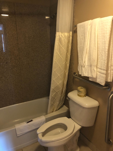 Bathroom 3, Riverton Inn & Suites, Fremont