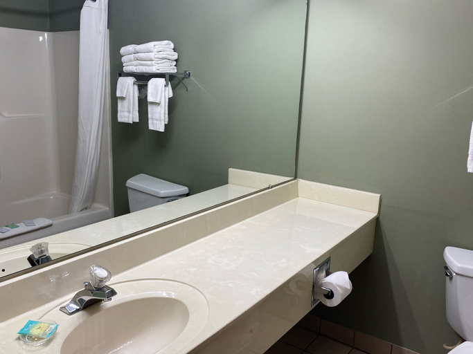 Bathroom, Hometown Inn, Cheboygan
