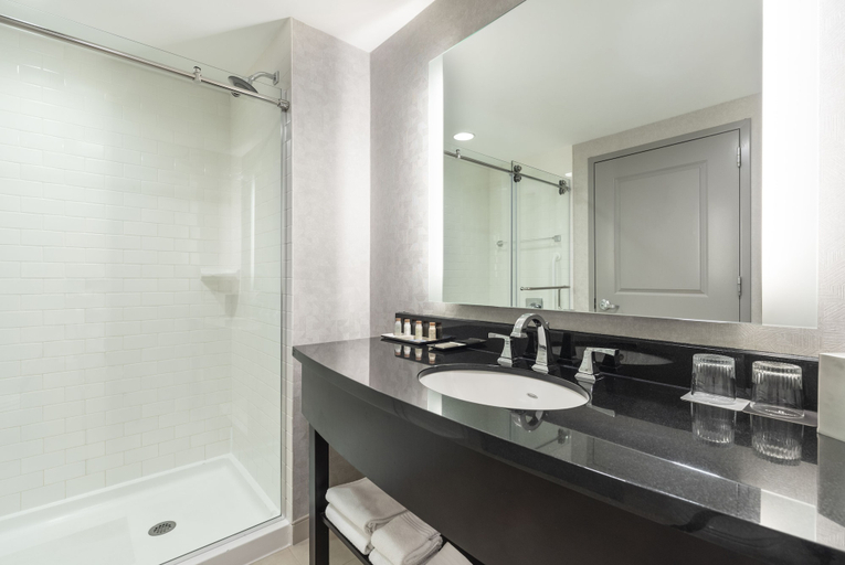 Bathroom 5, Renaissance by Marriott Boston Patriot Place Hotel, Foxborough